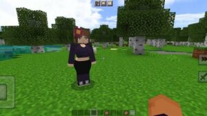 Jenny Minecraft 1