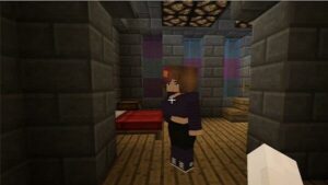 Jenny Minecraft 3